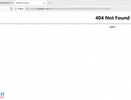 R850支付了金币，也换了浏览器，还是没办法下载，请帮忙解决下